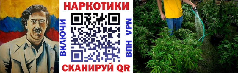 Гашиш Кирс